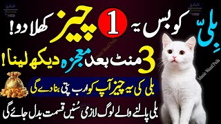 Billi Ko Ye 1 Cheez Khila Dena  Ghar Mein Rizq Dolat Pesa Sab Kuch Ayega  Mushkil Waqt Ka Wazifa [upl. by How]