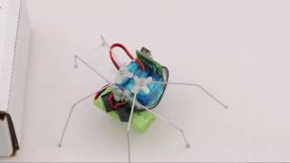 Pololu Micro Maestro Hexapod Robot [upl. by Ahsenev]