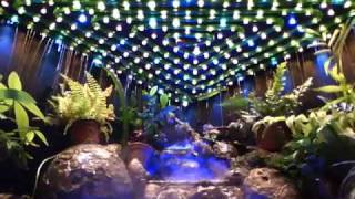 Waterfall Paludarium  LEDs amp Rain Tests [upl. by Dareg659]