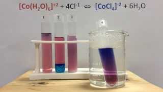 Le Chateliers Principle Lab with Cobalt Complex Ions [upl. by Nylazor]