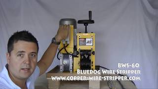 Copper Wire Stripper BWS60 Demonstration  Electric Wire stripping machine [upl. by Noland]