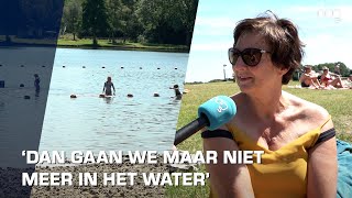 Negatief zwemadvies voor Hoornseplas vanwege zwemmersjeuk [upl. by Onfroi]