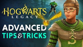 Hogwarts Legacy  Percival Rackhams Trial Quest Walkthrough [upl. by Sollie]