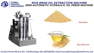 Edible Oil ExtractionOil Cold PressOil Press MachineRice Bran Oil ExpellerOil ExtractorOil Mill [upl. by Enohsal]