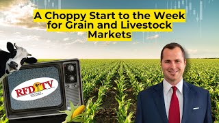 A Choppy Start to the Week for Grain and Livestock Markets [upl. by Nnaeoj772]