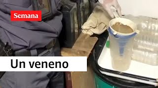 ¡Qué asco Así delincuentes “limpiaban” botellas de licor adulterado  SEMANA [upl. by Atwahs]