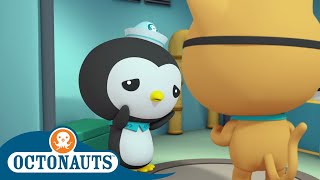 Octonauts  Peso Is Worried  Cartoons for Kids  Underwater Sea Education [upl. by Erminna]