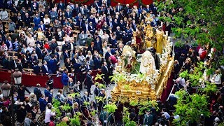 El Sagrado Decreto de la Trinidad en Campana 2019 [upl. by Tala334]