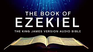 The Book of Revelation ESV  Full Audio Bible with Text by Max McLean [upl. by Akienahs]