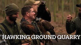 FALCONRY with Harris hawk Bonellis eagle and Golden eagles [upl. by Htebaras]