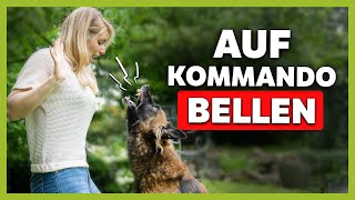 Mit dieser ÜBUNG lernt dein Hund das VERBELLEN [upl. by Asaph]