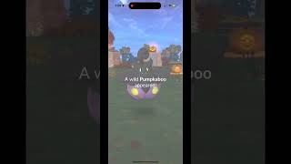 BIGEST SHINY in the pumpkin patch pokemon wildshiny wildshinypokemon shinypokemon mobilegame [upl. by Crichton895]