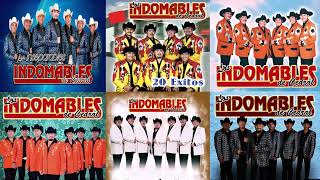 Los Indomables del Cedral Exitos Mix 2022  Las Mejores Canciones Exitos Mix 2022 [upl. by Madelon]