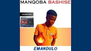 Manqoba Bashise  Emandulo Official Audio [upl. by Koo]