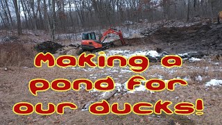 Excavating a pond for our favorite feathered creatures [upl. by Merv]