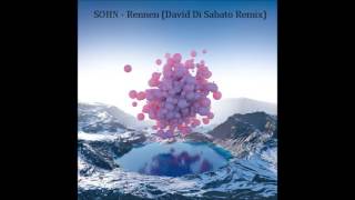 SOHN  Rennen David Di Sabato Remix [upl. by Nhguahs]