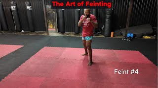 The Art Of Feinting martialarts [upl. by Welton]