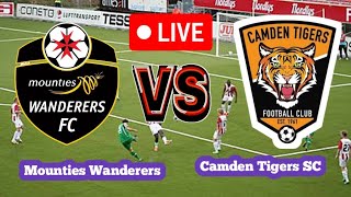 Mounties Wanderers Vs Camden Tigers SC Football Score Live streaming [upl. by Alegnaoj]