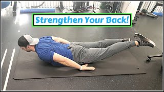 Beginner Low Back Exercises  Erector Spinae Strength [upl. by Aidyl]