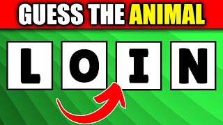 Guess The Animal by Its Scrambled Name  Scrambled Word Game [upl. by Sadinoel]