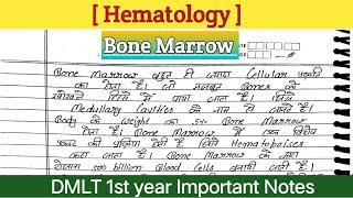 Bone Marrow Examination  Bone Marrow in Hindi  procedure  Test [upl. by Ajnos]