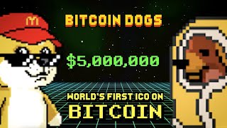 Bitcoin Dogs Club 5000000 FOR THE DAWGS [upl. by Thessa620]