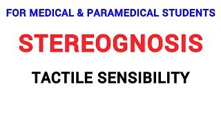 STEREOGNOSIS  TACTILE SENSIBILITY  CLINICAL LAB  PHYSIOLOGY [upl. by Papagena840]