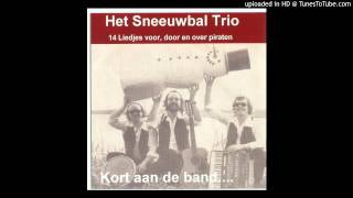 Het Sneeuwbaltrio  Veenhuizen radio [upl. by Ynaffet]