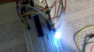 PWM Atmega8  1MHZ 8bit Sine wave LED [upl. by Richards]