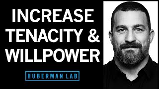 How to Increase Your Willpower amp Tenacity  Huberman Lab Podcast [upl. by Eseerehc]