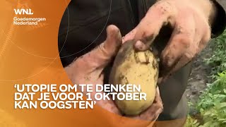 Utopie om te denken dat je in oktober je aardappelen kunt oogsten [upl. by Tamra]