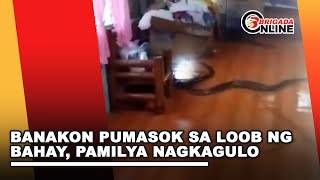 Banakon pumasok sa loob ng bahay pamilya nagkagulo [upl. by Essy]