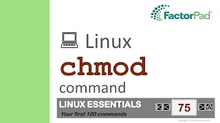 Linux chmod command summary with examples [upl. by Anyehs]