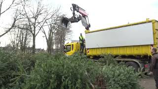 Kerstbomen inleveren [upl. by Rotce]