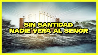 Sin Santidad Nadie Verá al Señor │ La Importancia de la Santidad [upl. by Agatha]