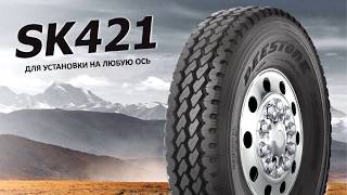 Deestone SK421  Truck tires [upl. by Leela]