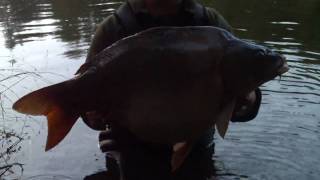 Steamies Boilies Carp Fishing with Individual Baits 30 Mirror [upl. by Gae597]