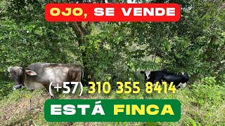 🔥SE VENDE  ESTÁ FINCA  Contacto WhatsApp 57 310 355 8414🔥 [upl. by Leopoldine]