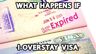 What Happens if I Overstay My Visa [upl. by Lihka]