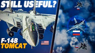 Is The F14 Tomcat Still Useful Was It Retired Too Soon   Digital Combat Simulator  DCS [upl. by Yelram539]