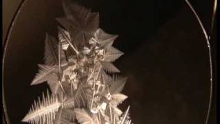 ice crystals and supercooled water [upl. by Elynad]