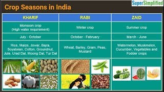 Cropping Seasons In India  Kharif Rabi Zaid [upl. by Fortuna]