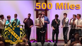 500 Miles  A Cappella Cover  OOTDH [upl. by Shalna]