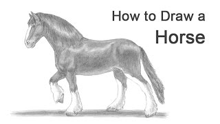 How to Draw a Horse ClydesdaleShire [upl. by Walden]