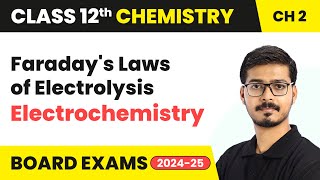 Faradays Laws of Electrolysis  Electrochemistry  Class 12 Chemistry Chapter 2  CBSE 202425 [upl. by Cinnamon]