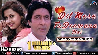 Dil Mere Tu Deewana Hai  Sooryavansham  Amitabh amp Rachana Banerjee [upl. by Elocal]