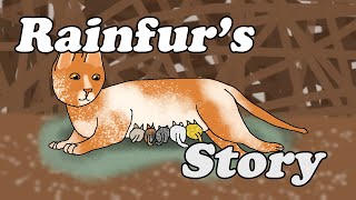 The Life of Rainfur of ThunderClan [upl. by Setarcos]