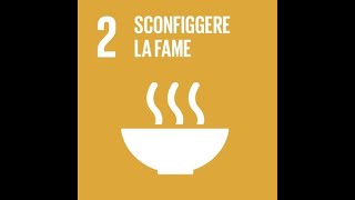 Agenda 2030 sconfiggere la fame [upl. by Aihsotal]