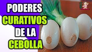 Con Solo Tener Una rodaja De Cebolla Fría Estos Son Los Poderes Curativos De La Cebolla [upl. by Fawne305]