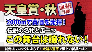 【天皇賞・秋2024｜血統診断】歴史的名牝との共通点 この舞台で輝く名配合を狙え！ [upl. by Paulette]